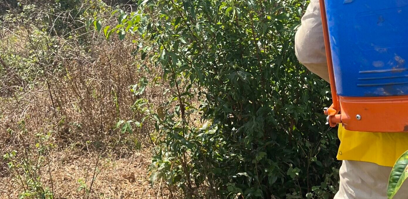 “Triclopir, O especialista em controle de plantas lenhosas e de difícil controle.